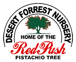 Desert Forrest Nursery Tucson - Home of the Red Push Pistachio