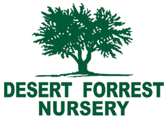 Desert Forrest Nursery Headquarers